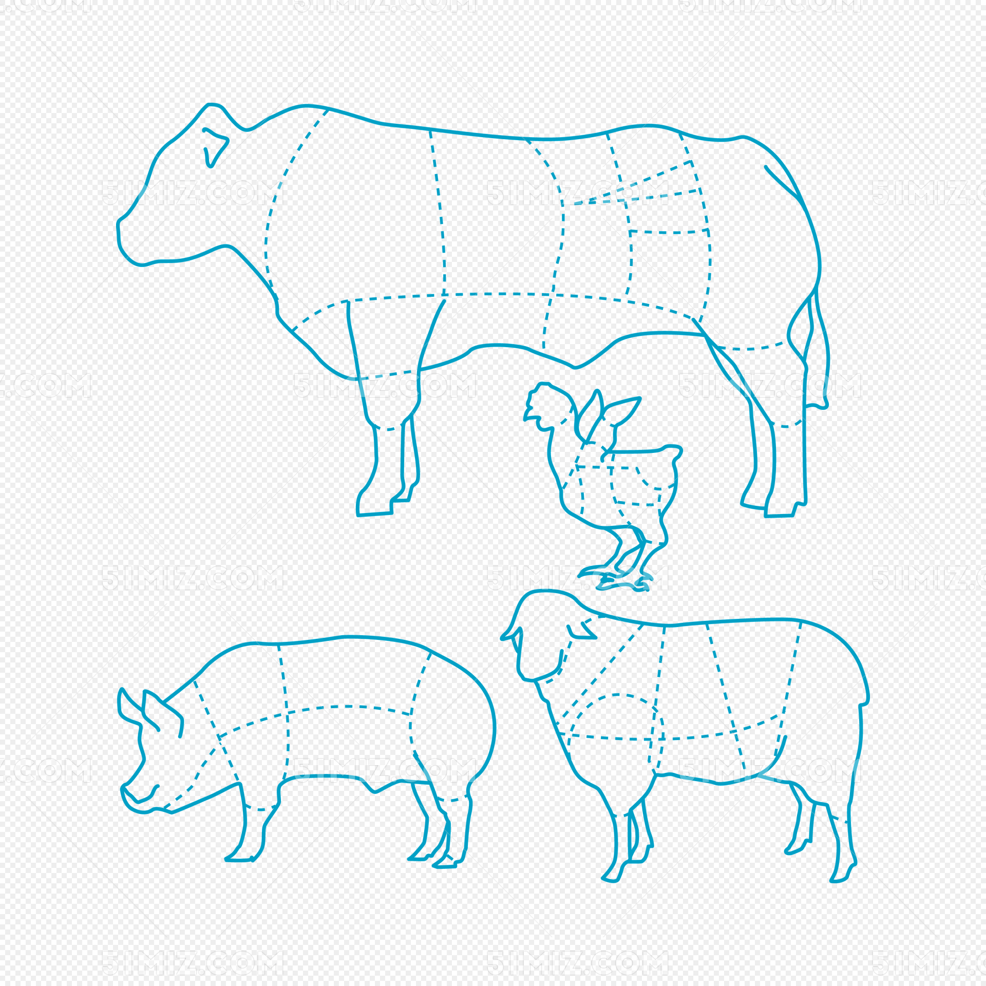 猪牛羊鸡食肉分布图