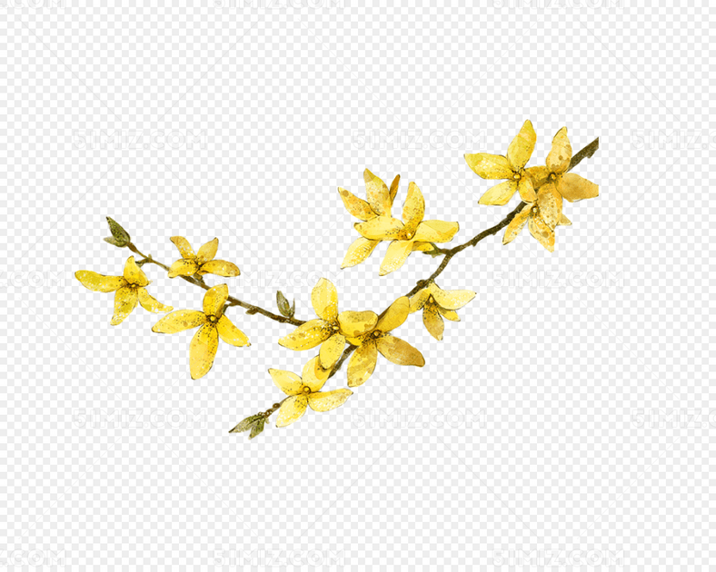 һ֧Ŀͨ
