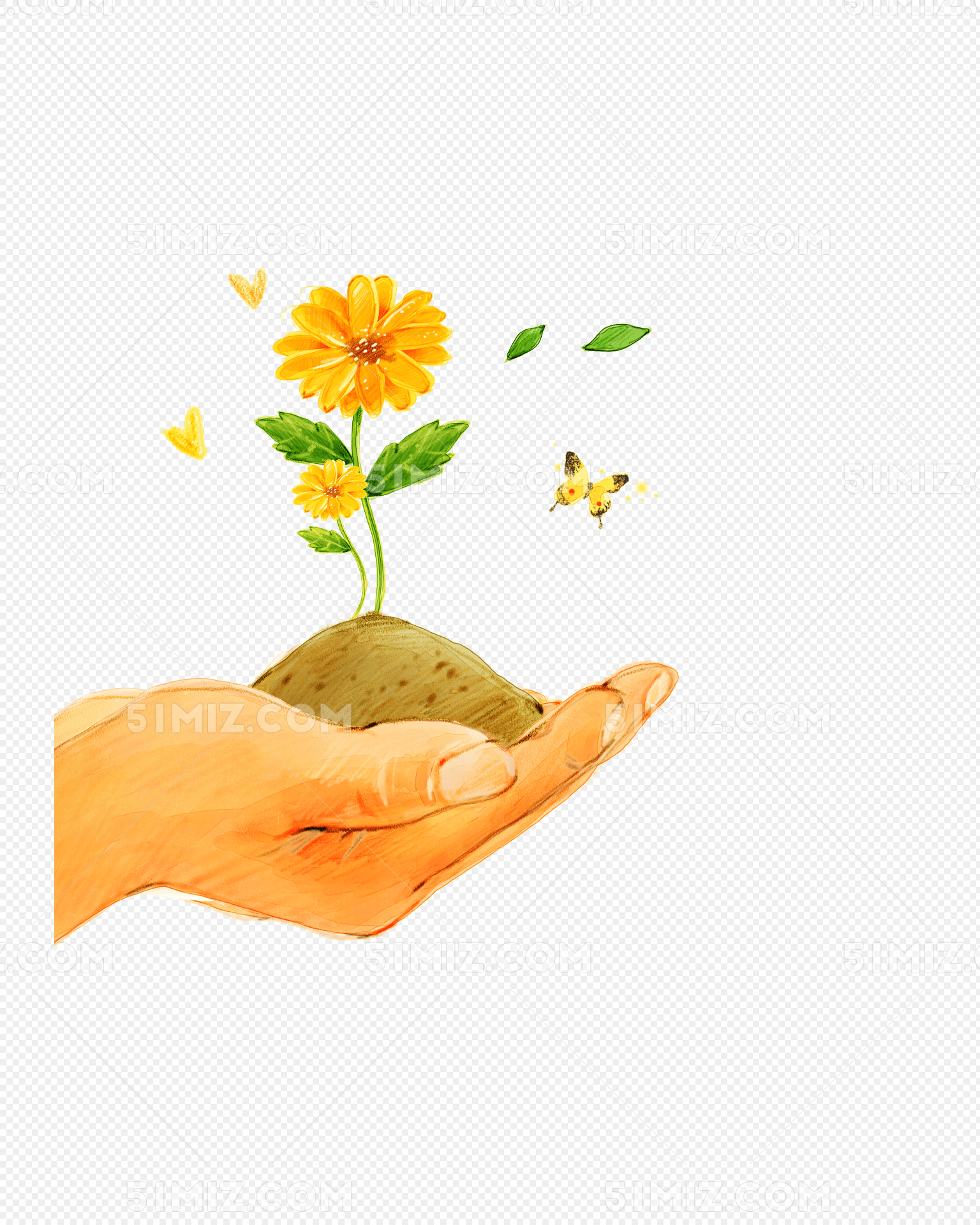 手托向日葵