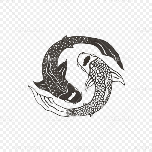 锦鲤