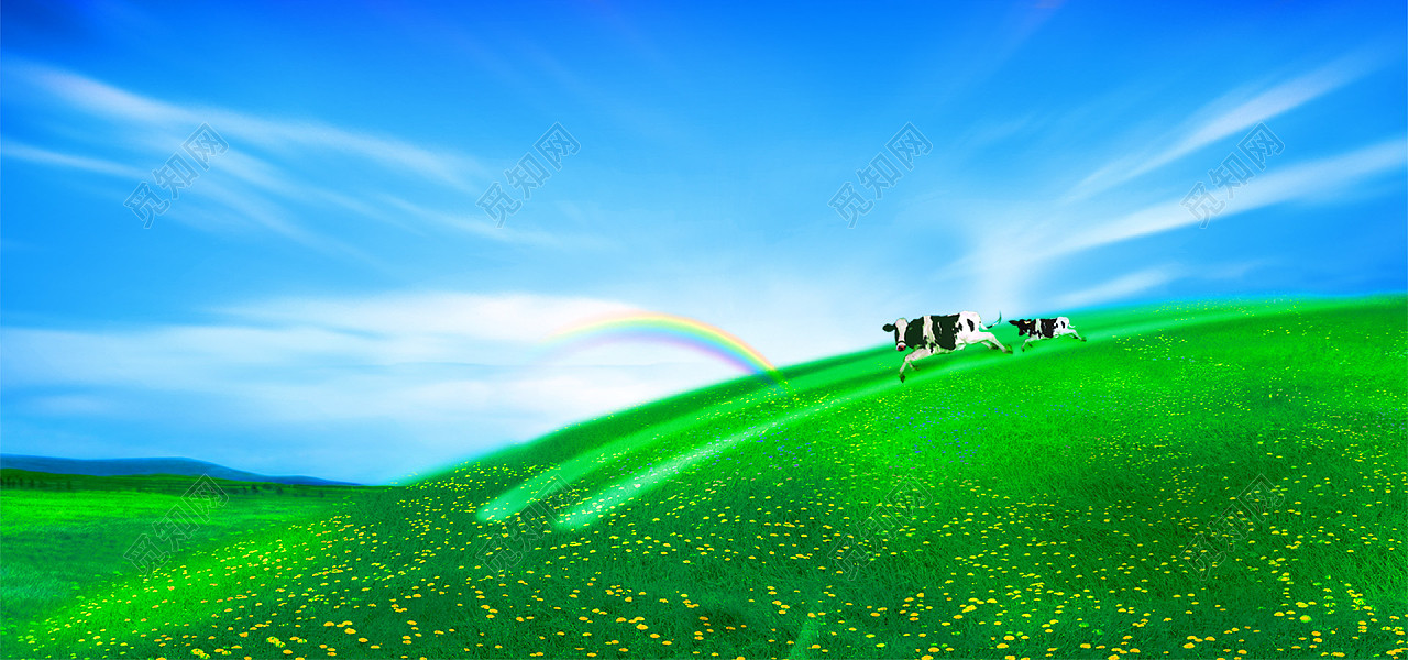ţ̹