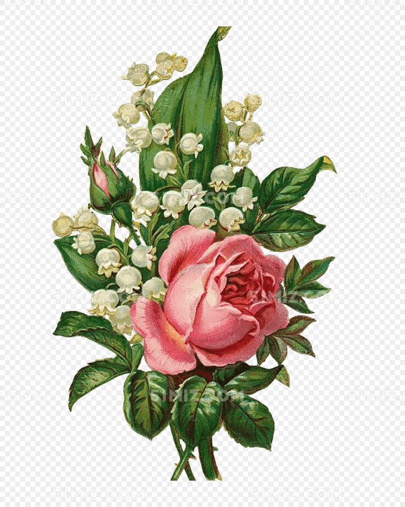 手绘花朵 复古花朵 复古玫瑰花 花朵素材