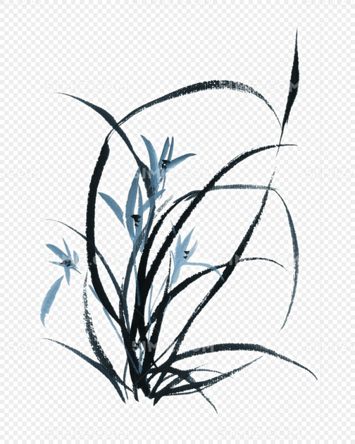 手绘兰花