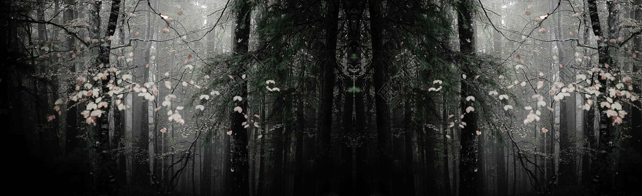 深色黑白树林唯美背景banner