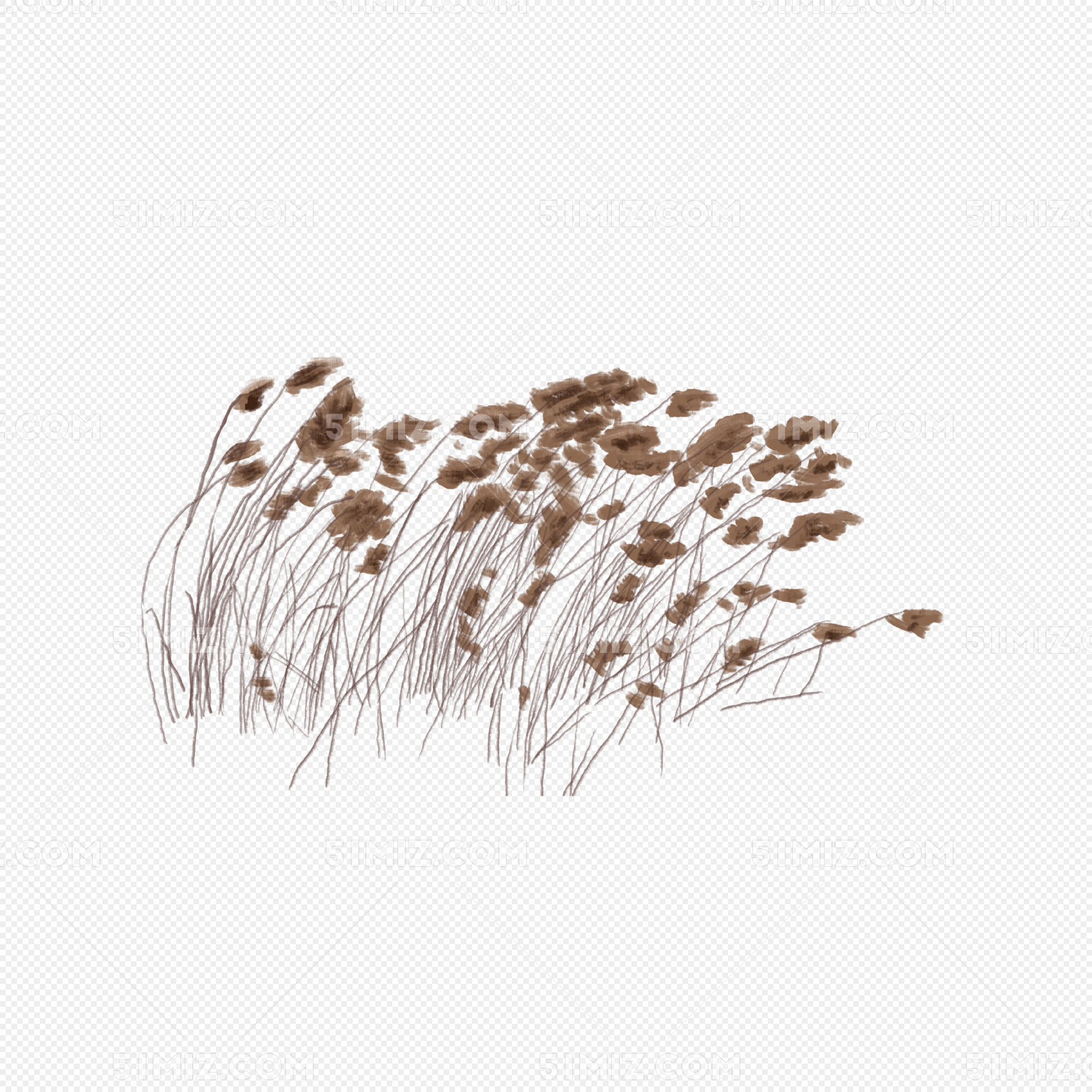 手绘水彩清新白露节水边芦苇pn