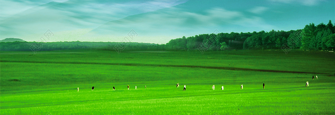 大草原清新背景banner