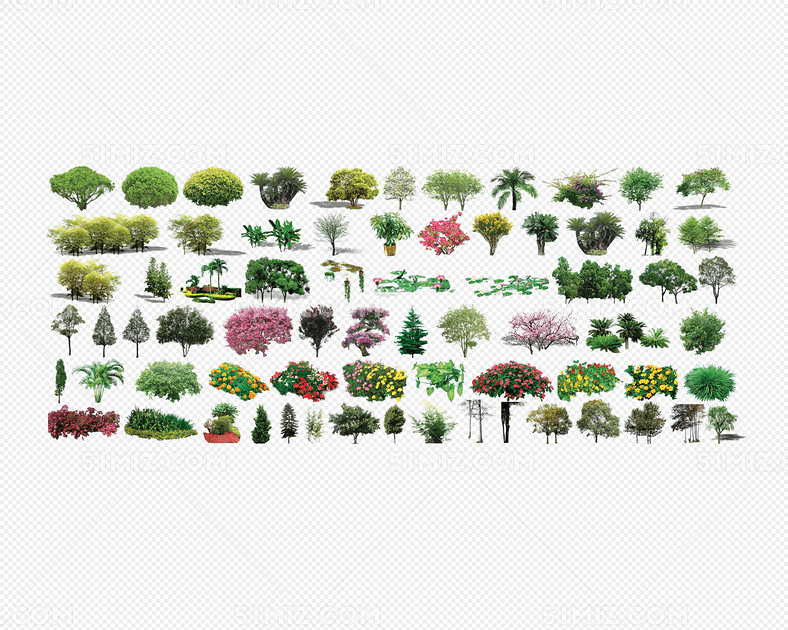 植物平面植物立面树园林景观灌木素材图片