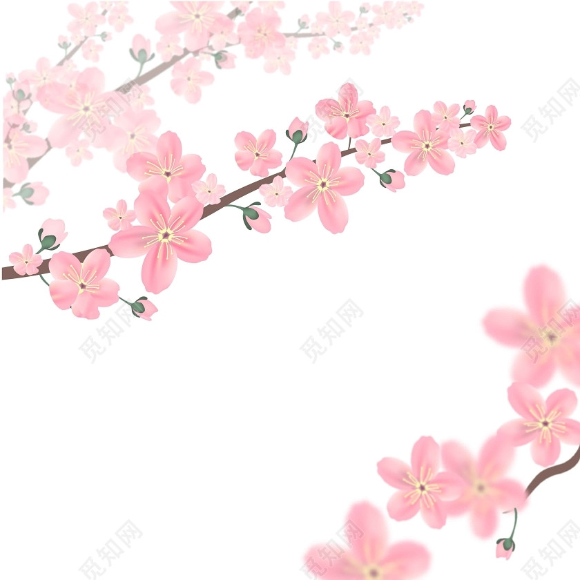 樱花花瓣素材