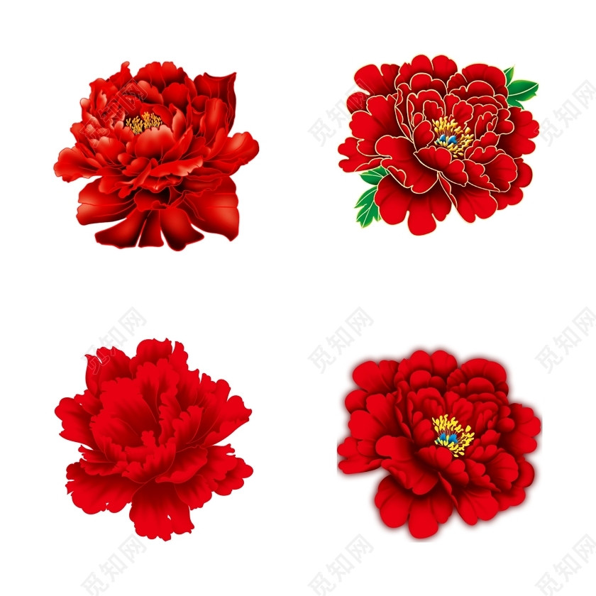 牡丹花素材
