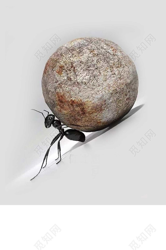 坚强的蚂蚁推石头励志海报背景
