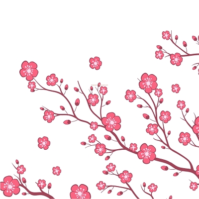 树枝花枝唯美樱花素材