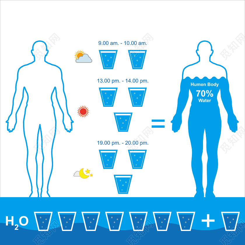 人体水含量分布图