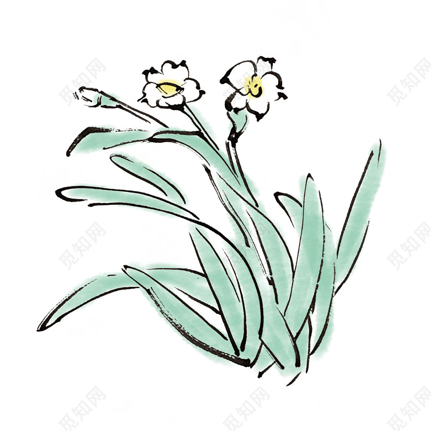 水墨水仙花素材