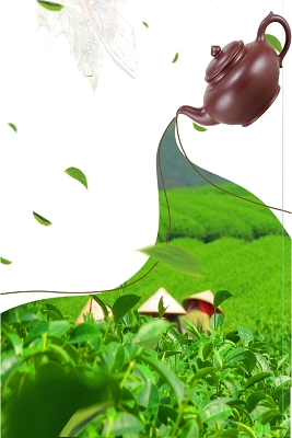 茶叶 茶文化绿色卡通茶叶背景装饰png