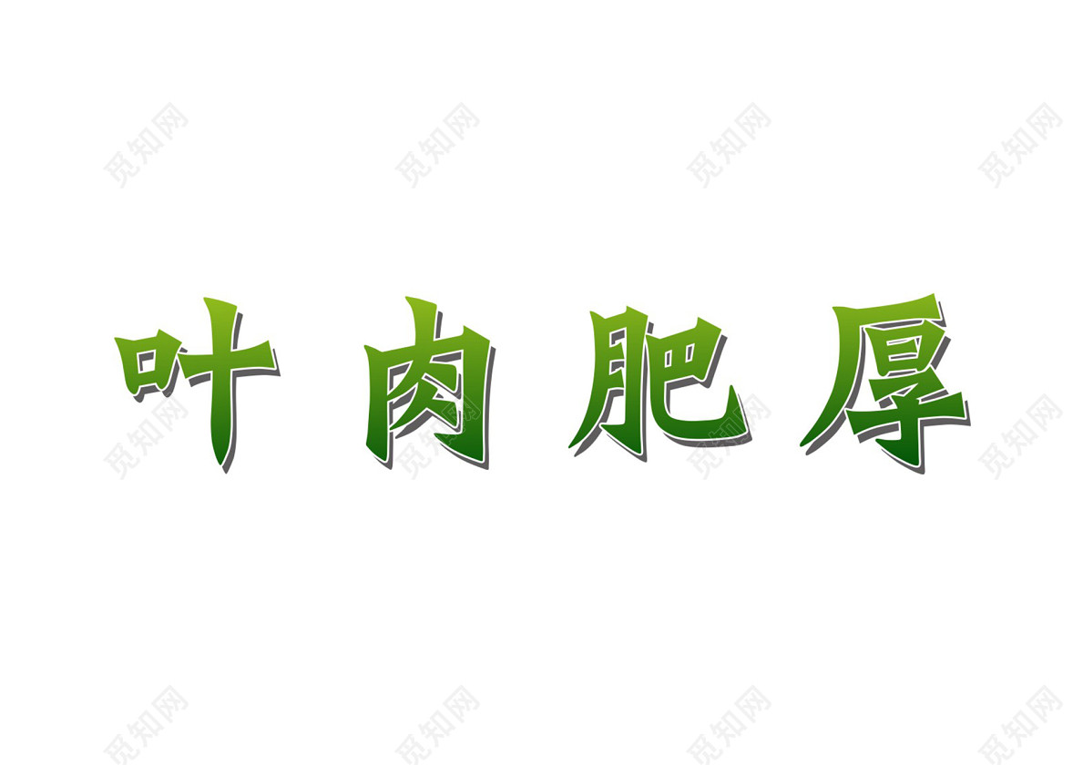 春茶上新叶茶叶肉肥厚免抠艺术字