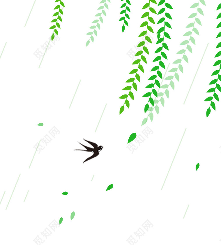 清明节谷雨时节柳树小鸟素材