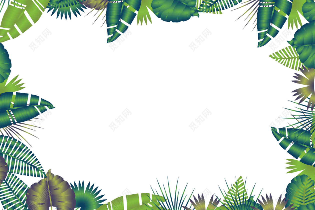 夏天夏季热带植物绿叶绿叶植物边框素材