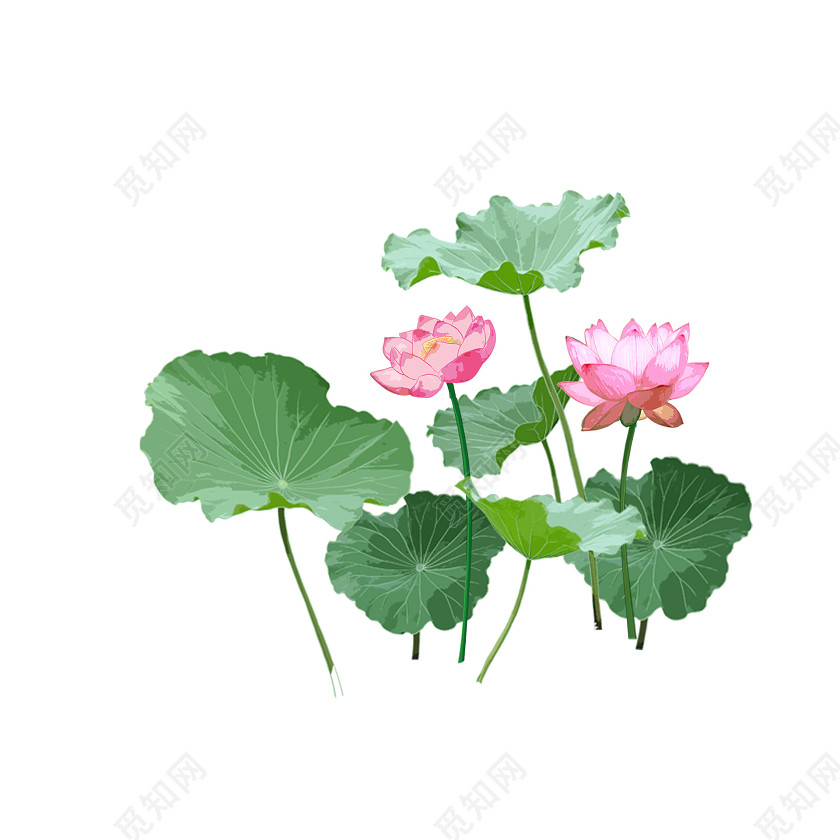 水墨画立夏夏天荷叶荷花png素材