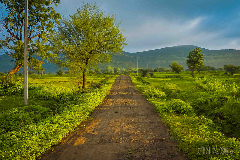 蓝绿自然空旷清新野外山野小路向前延伸自然乡村旅游背景图片