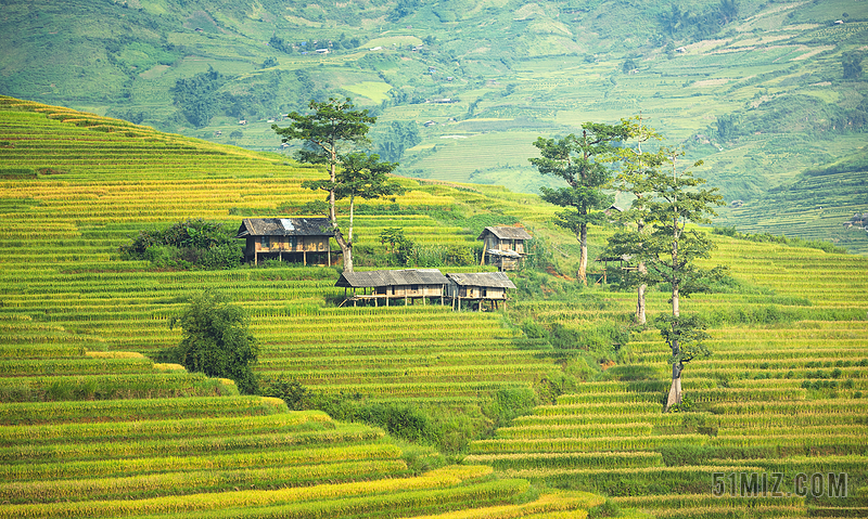 绿色旅游村落风光田园景象民宿居住地田园乡村背景图片