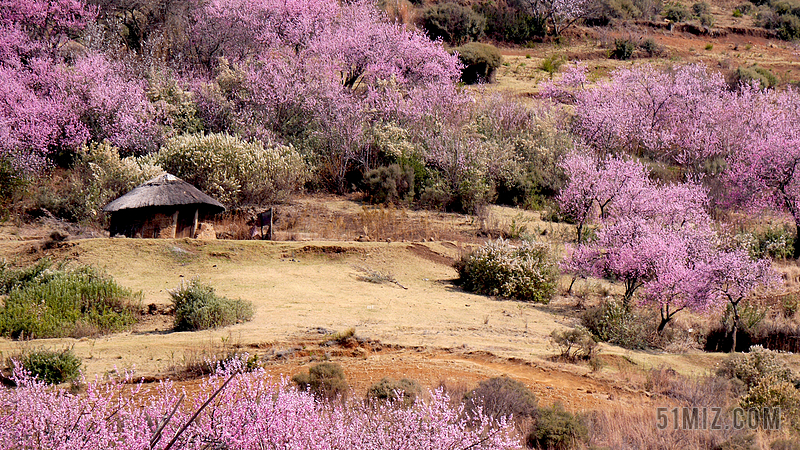 旅游自然莱索托圆形小屋桃花源背景图片