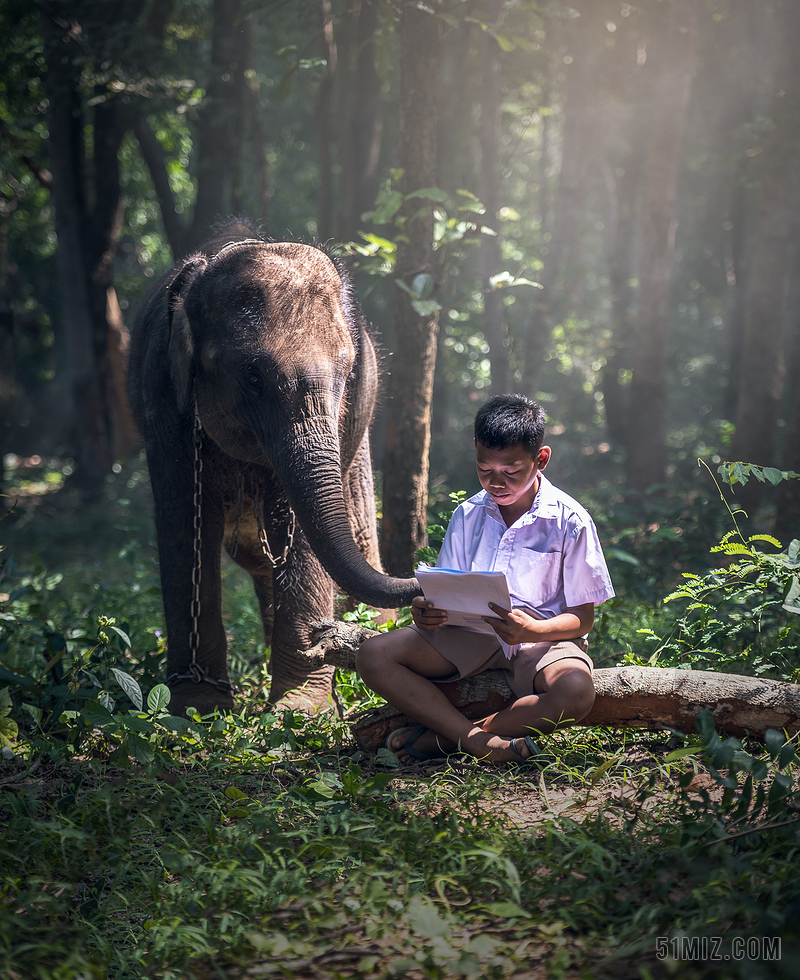 彩色生物和谐树林中的看书小孩和大象人与动物自然和谐背景图片
