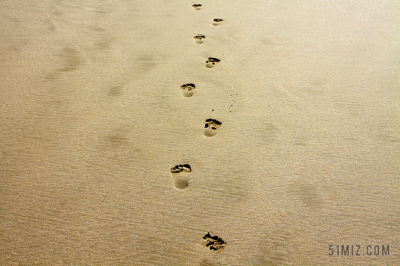 旅游清新海滩上的脚印背景图片
