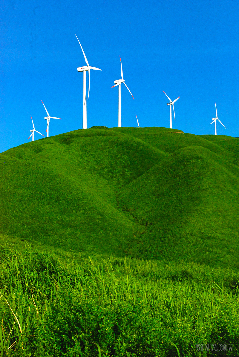蓝天绿草背景