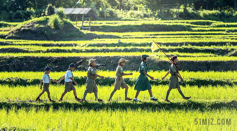 黄色人物可爱稻田间都过的孩子们儿童农田户外摄影背景图片
