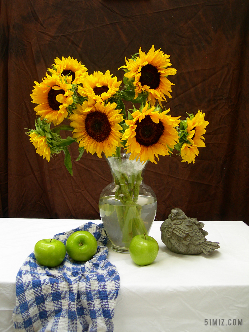 向日葵 苹果 静物 水果 生活 花 花束 桌布 黄色 自然