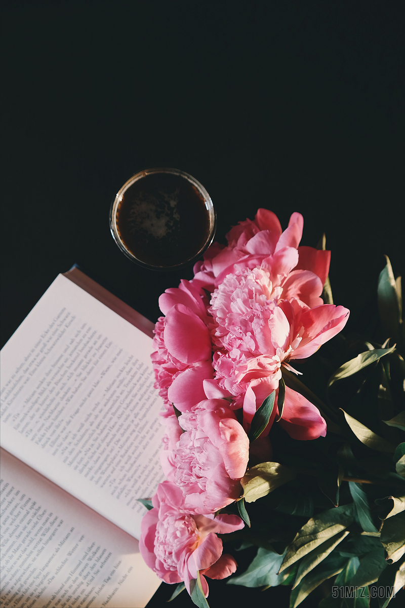 书籍绽放的粉色鲜花和书本背景图片