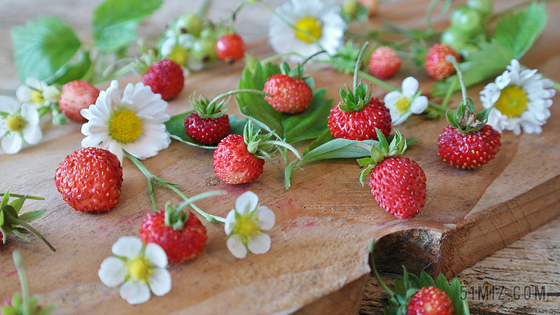 果实唯美草莓野草莓背景图片