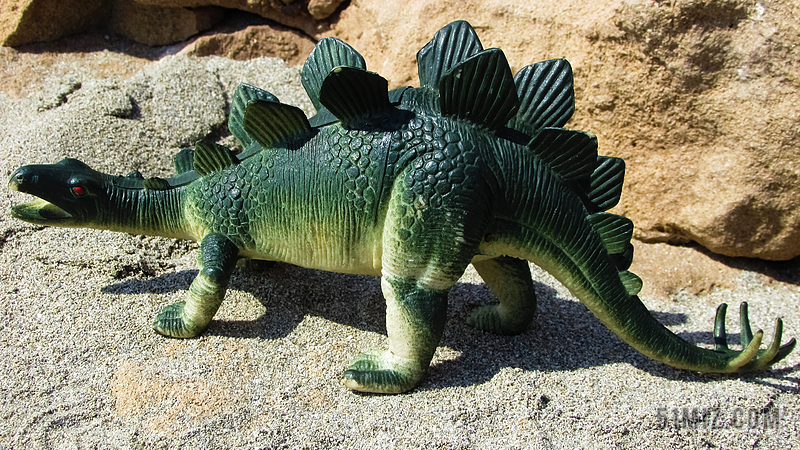 剑龙 恐龙 蜥蜴 灭绝 侏罗纪 爬行动物 动物 史前 植食性