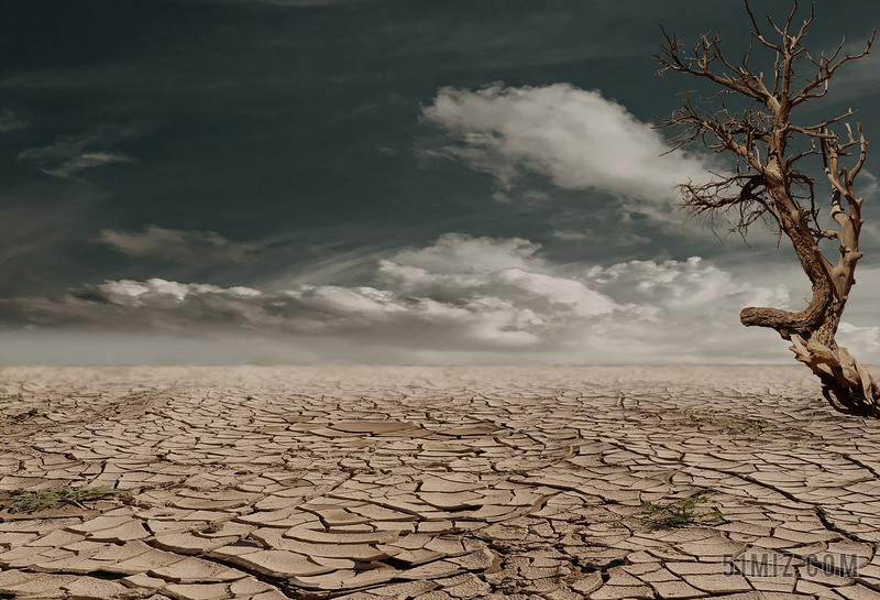 自然创意天空下的干枯的陆地和大树干旱环保背景图片