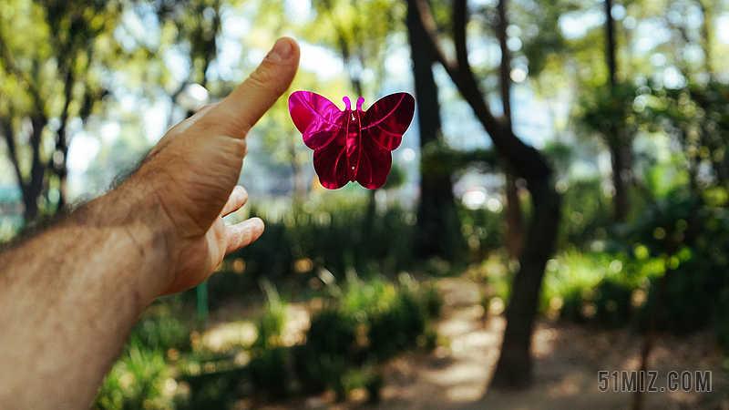 彩色摄影创意男人左手在树林中抓一只紫红色蝴蝶摆拍照背景图片