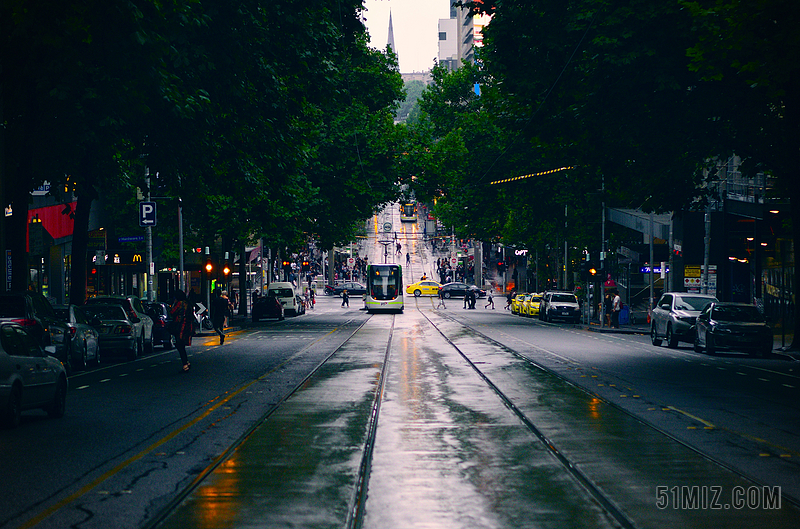 道路树林素材