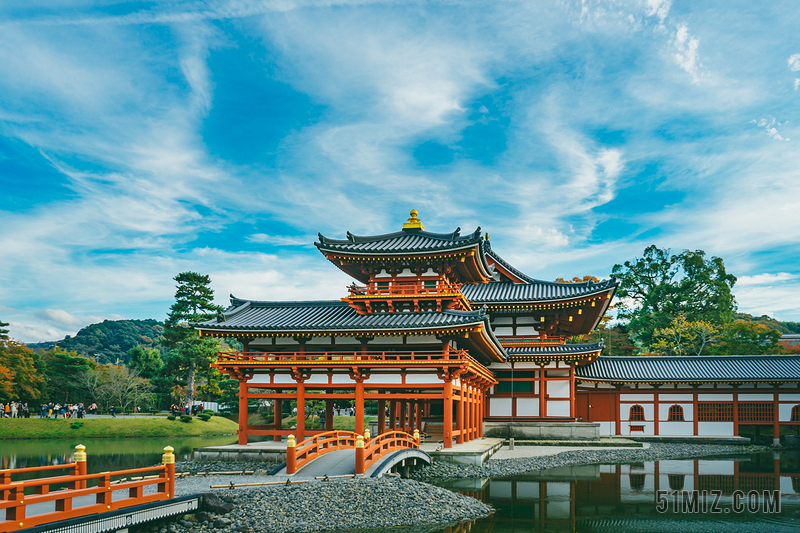 丛林 森林 树 树木 树林 森林 日本 城市 现代生活 建筑 结构 建筑物