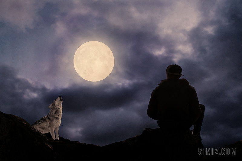 月亮下的月亮和狼