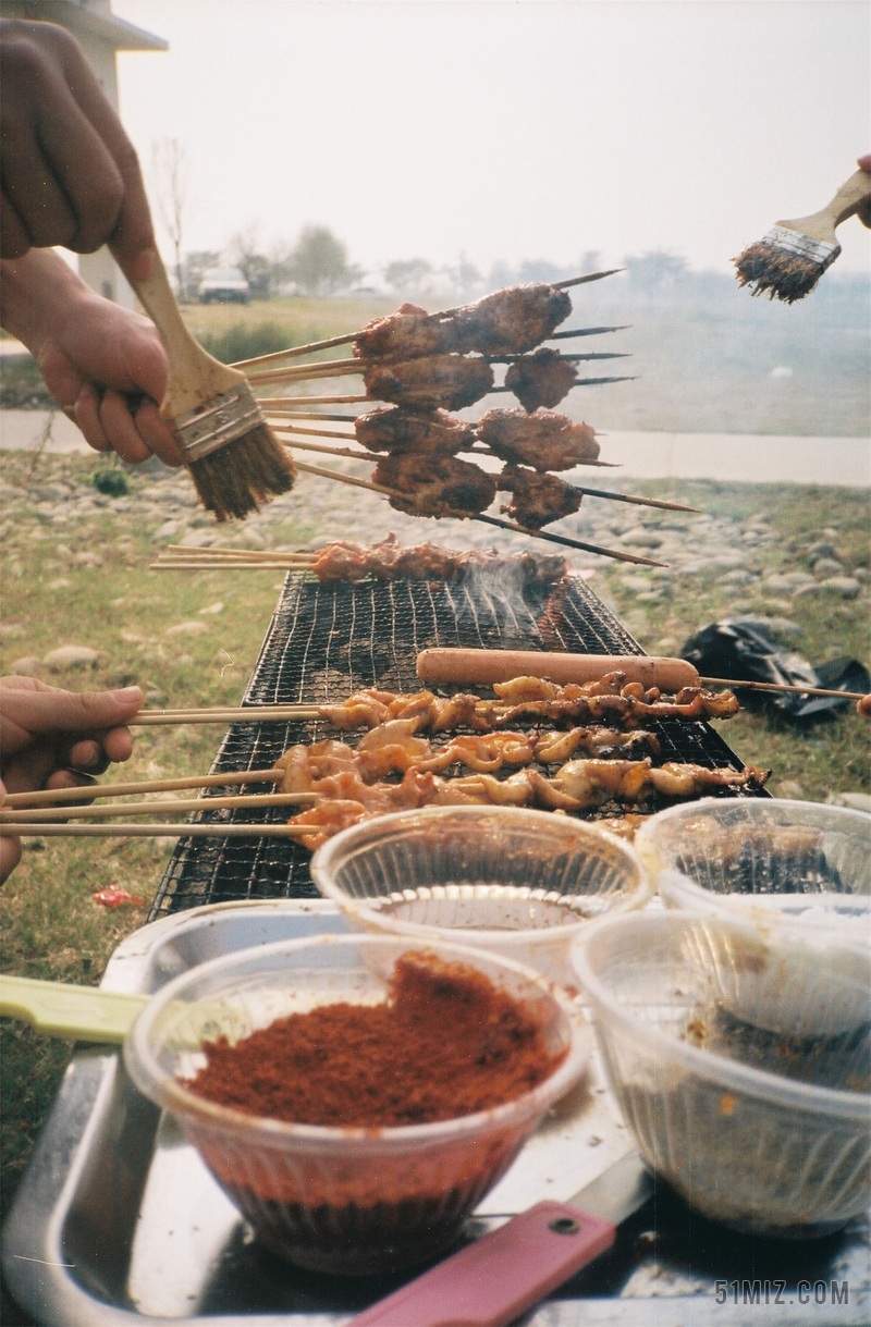 野炊素材