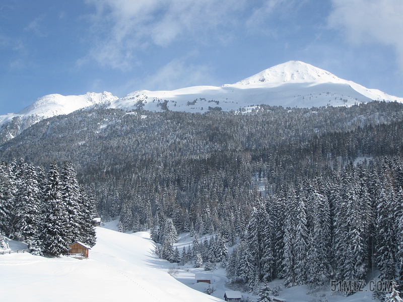 山 针叶树 雪景 寒冬 山景观 雪 冬天 雪覆盖 景观 冷