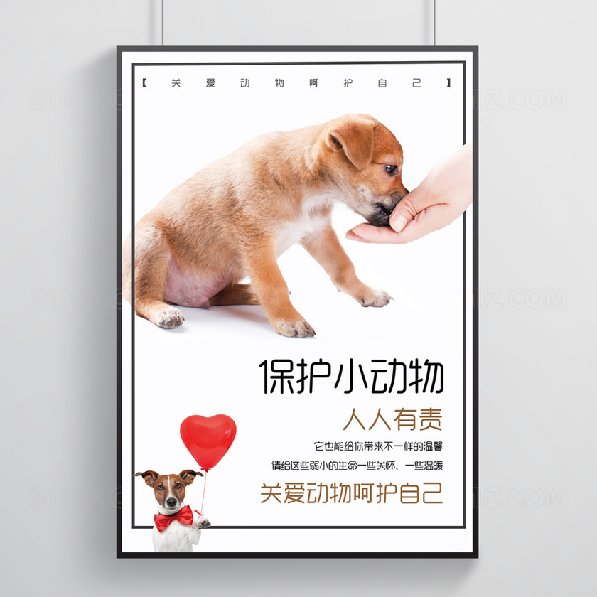 世界保护小动物公益海报模板设计