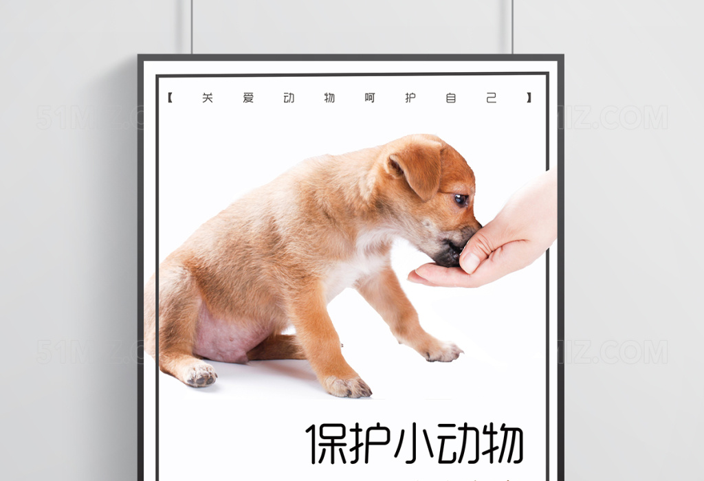 世界保护小动物公益海报模板设计