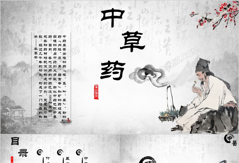 中医中草药介绍ppt模板