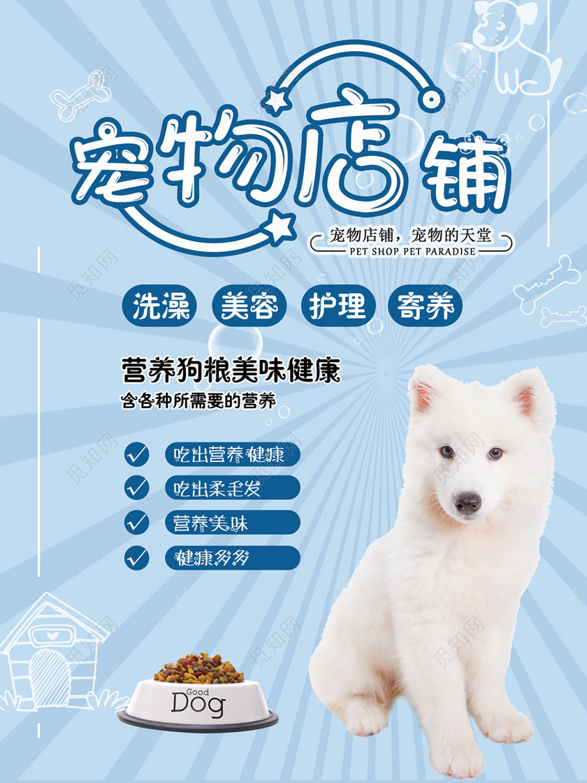 宠物店铺促销活动美容洗澡护理寄养宠物店开业海报