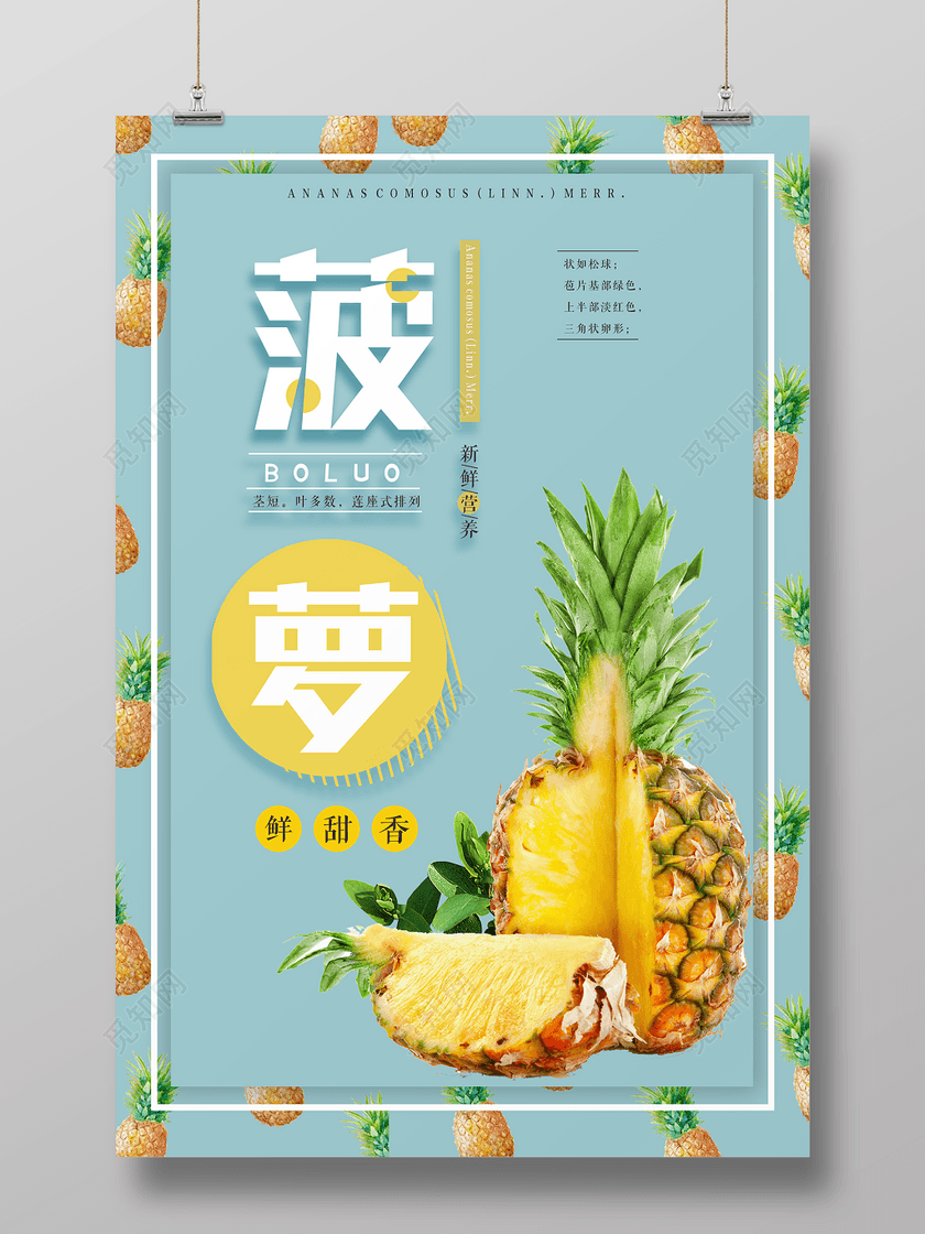 标签: 水果海报 菠萝海报 水果促销海报 水果宣传 水果生鲜海报