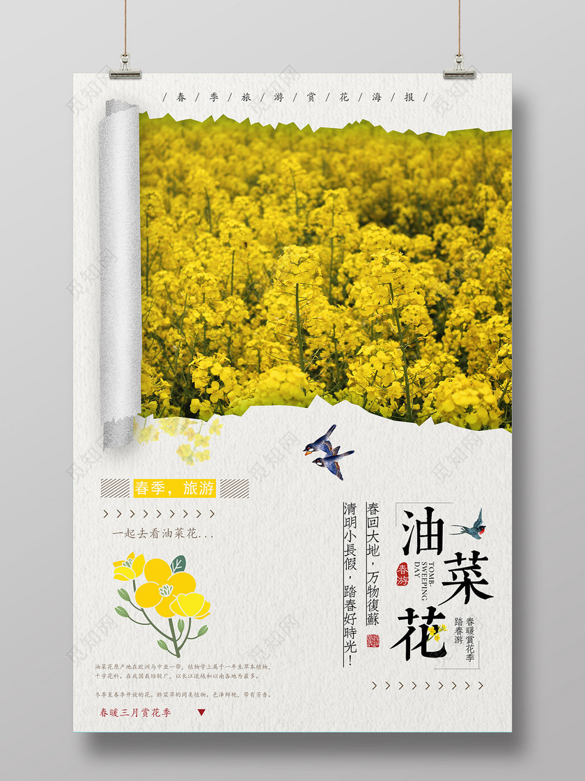 简约清新春季春天春游油菜花海报