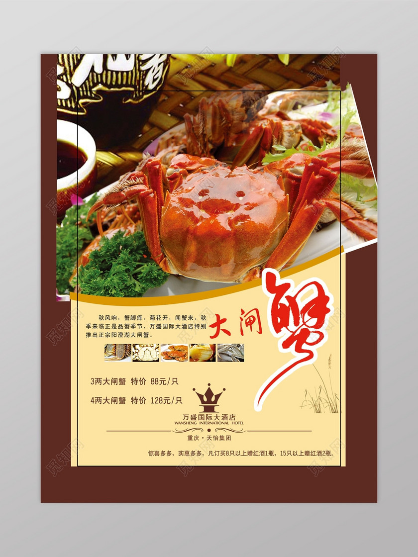 秋季食品大闸蟹食物海报下载-设计模板-觅知网