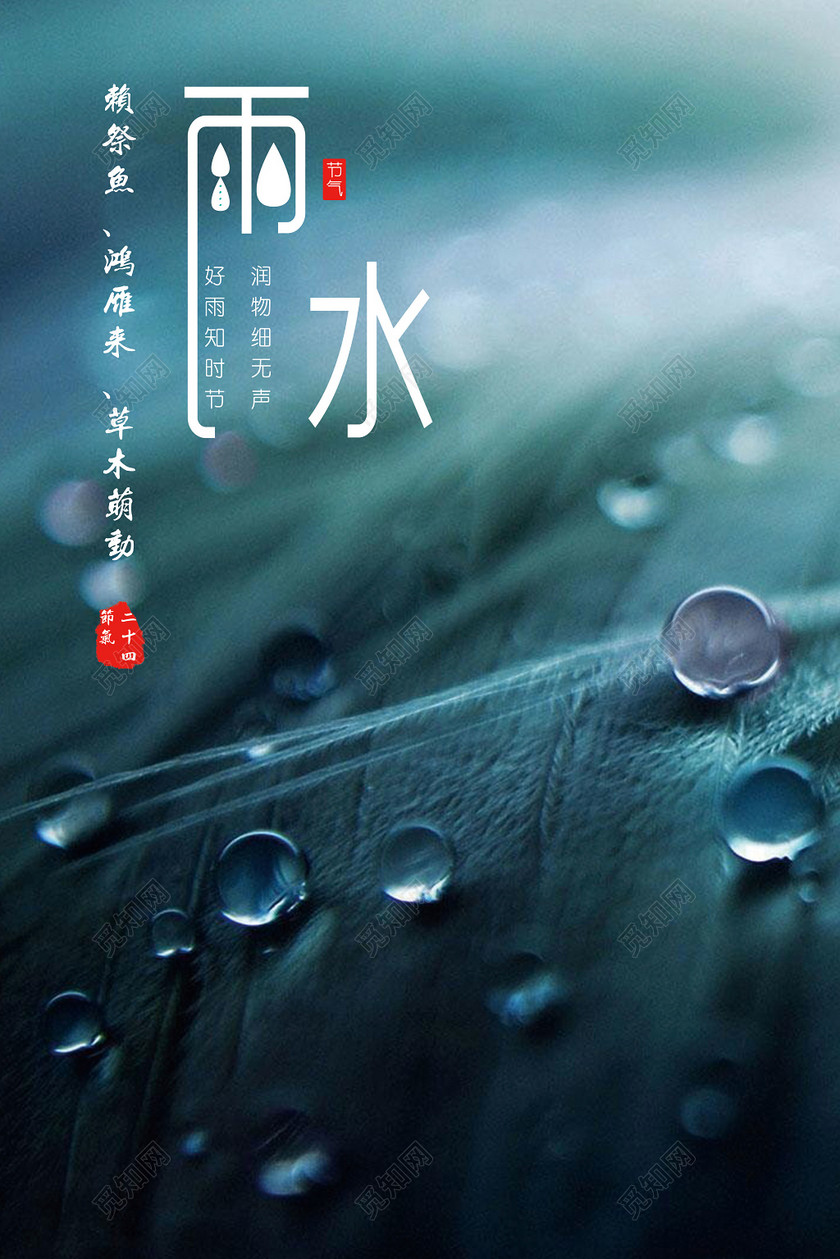 简约二十四节气节日雨水海报设计