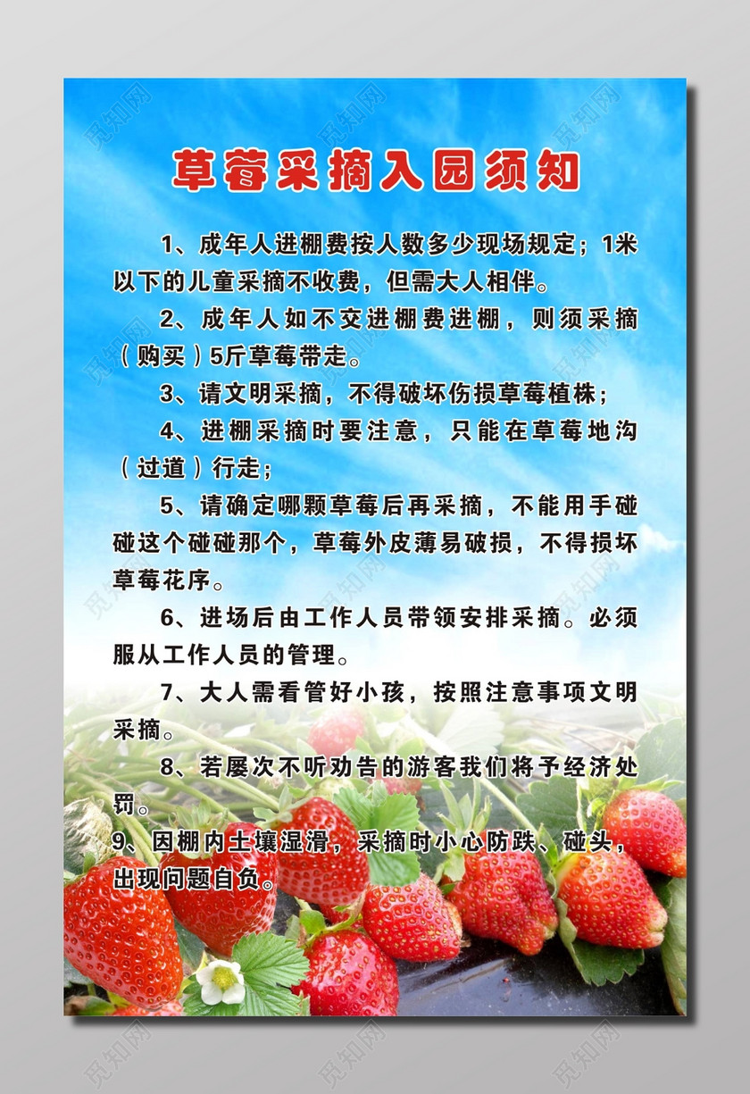 生鲜水果草莓采摘入园须知