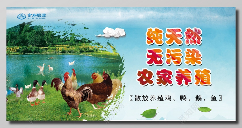 纯天然无污染农家养殖蓝绿色宣传海报